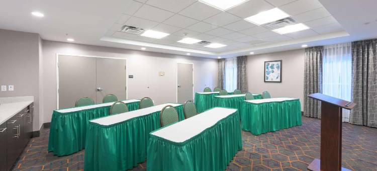布法罗汉堡镇欢朋酒店(Hampton Inn Buffalo/Hamburg)图片