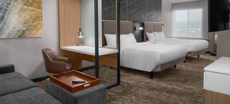 雷德兰兹SpringHill套房酒店(SpringHill Suites Riverside Redlands)图片