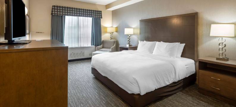 车纳河贝斯特韦斯特优质酒店(Best Western Plus Chena River Lodge)图片