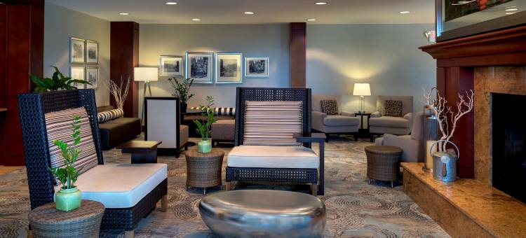 希尔顿花园奥尔巴尼医学中心酒店(Hilton Garden Inn Albany Medical Center)图片