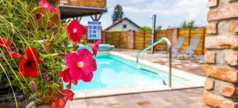 Apartments Galunder图片