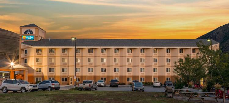 大学舒适酒店(Comfort Inn University)图片