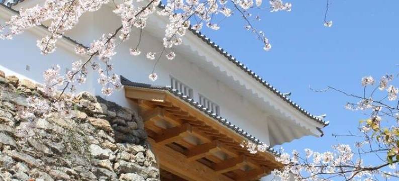 滨松协和酒店(Hotel Concorde Hamamatsu)图片