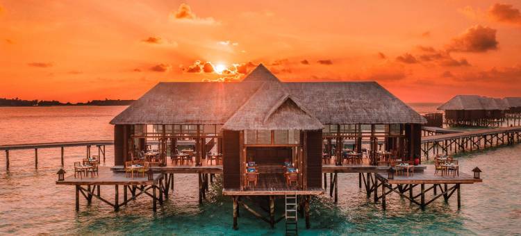 马尔代夫伦格里岛康莱德酒店(Conrad Maldives Rangali Island)图片