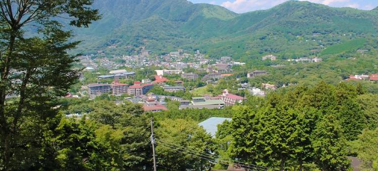 利夫马克斯度假酒店-箱根仙石原店(LiVEMAX RESORT HAKONESENGOKUHARA)图片