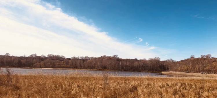 塞罕坝林场御道口牧场幸福来敲门家庭公寓(卧川路分店)图片