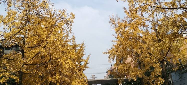 叮叮猫的小屋(清溪西路分店)图片