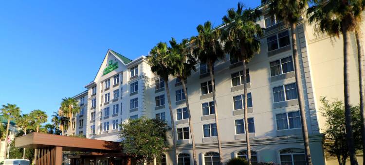 迈克艾伦温德姆花园酒店(Wyndham Garden McAllen at la Plaza Mall)图片