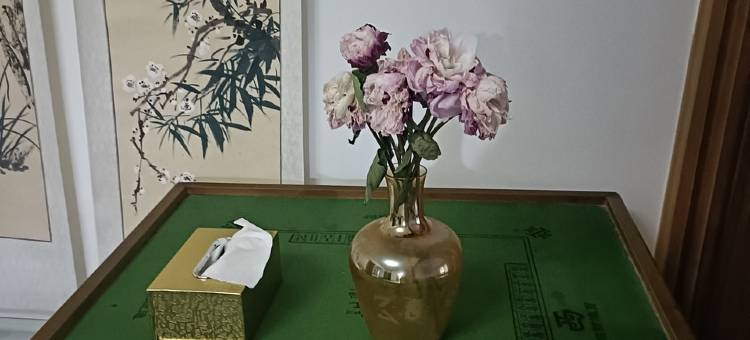 苍石书画院民宿(万安前街分店)图片