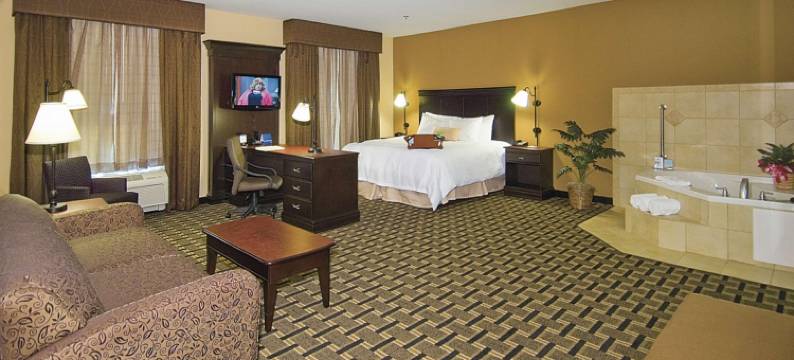 希尔顿欢朋套房酒店-帕勒斯坦(Hampton Inn & Suites Palestine)图片