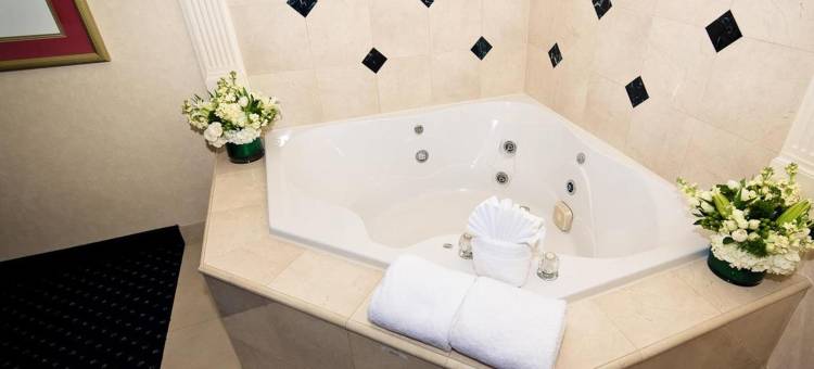 夏洛特希尔顿花园酒店(Hilton Garden Inn Charlotte-Uptown)图片