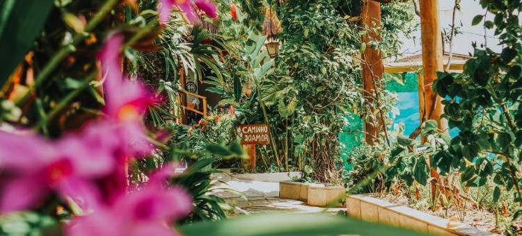 夏玛感觉 - 酒店旅馆(Xamã Senses - Hotel Pousada)图片