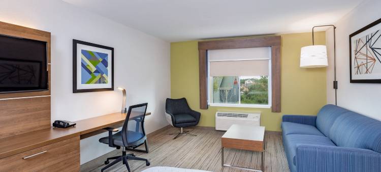 埃尔克哈特北智选假日套房酒店(Holiday Inn Express & Suites ELKHART NORTH by IHG)图片