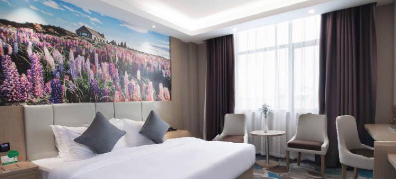 东莞东山酒店(凤岗雁田店)图片