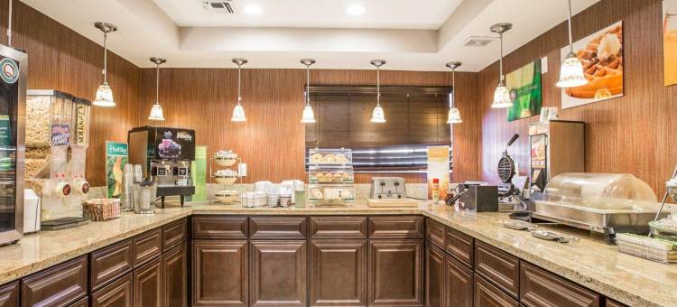 硅谷凯艺套房酒店(Quality Inn & Suites Silicon Valley)图片