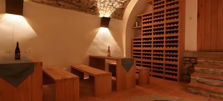 绿葡萄酒店(Hotel at the Green Grape)图片