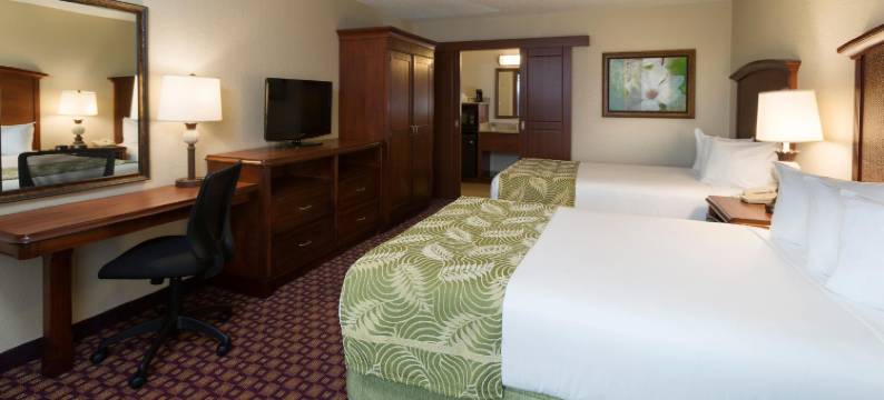 奥兰多罗森酒店(Rosen Inn at Pointe Orlando)图片