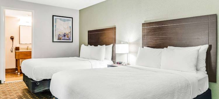 底特律市中心凯艺酒店(Quality Inn Detroit Downtown)图片