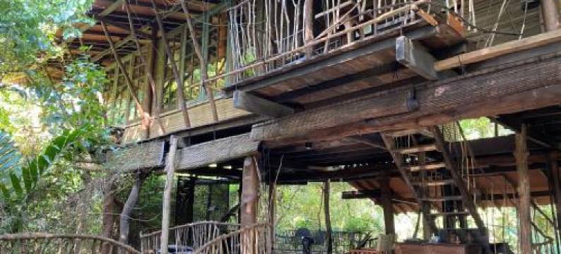 加卡达瓦拉森林小屋酒店(Galkadawala Forest Lodge)图片