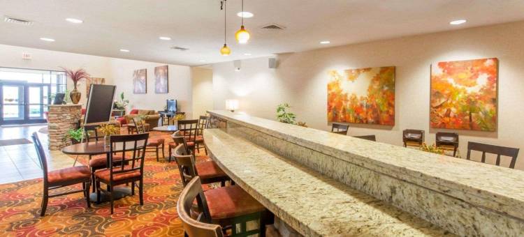 舒适套房酒店(Comfort Suites)图片