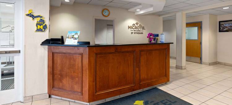 安娜堡麦客达温德姆酒店(Microtel Inn & Suites by Wyndham Ann Arbor)图片