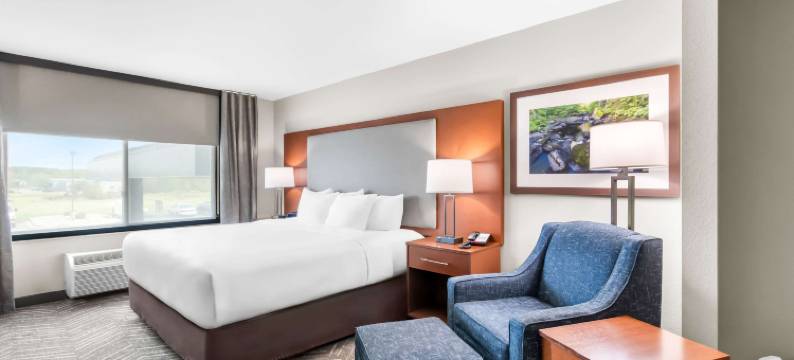 芒特艾恩-弗吉尼亚舒适套房酒店(Comfort Inn & Suites Mountain Iron and Virginia)图片