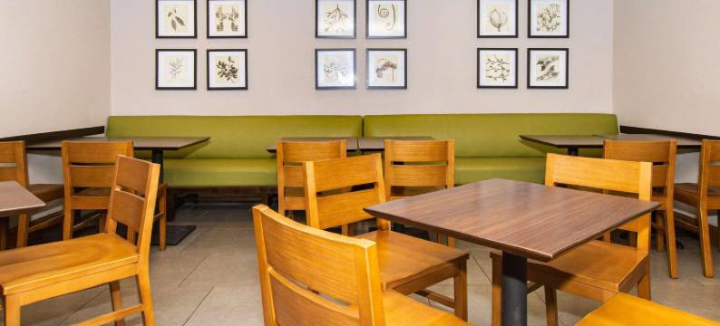 急流城丽怡酒店(Country Inn & Suites by Radisson, Rapid City, SD)图片