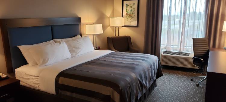 克里斯琴斯堡酒店蔚景温德姆酒店(Wingate by Wyndham Christiansburg)图片