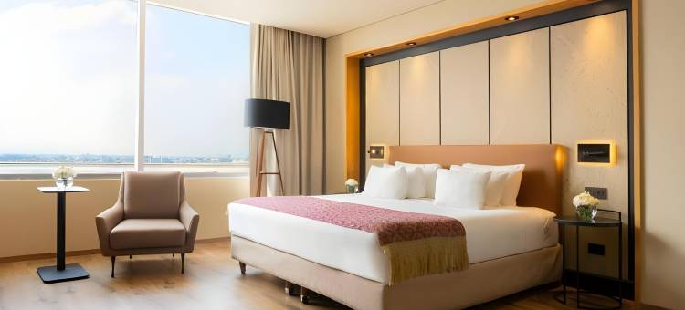 墨西哥城机场T2航站楼NH典藏酒店(NH Collection Airport T2)图片