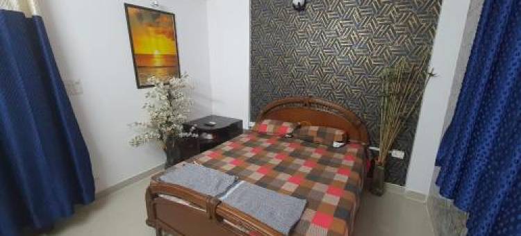 THE NEST - Aura图片