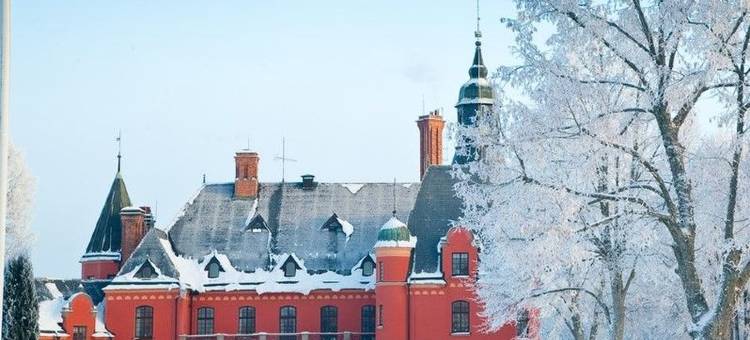 乐杰达斯洛特酒店(Lejondals Slott)图片