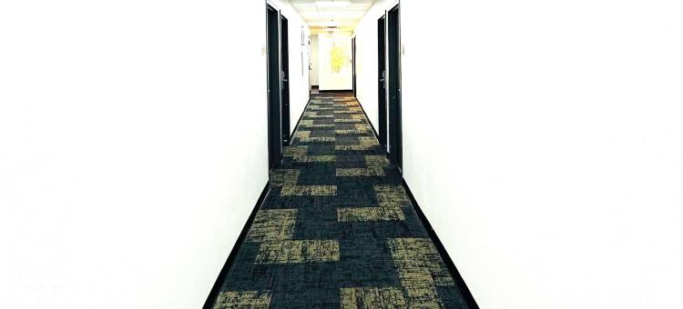哥伦布美吟温德姆套房酒店/俄亥俄州立大学(Baymont Inn and Suites by Wyndham Columbus / Near OSU)图片