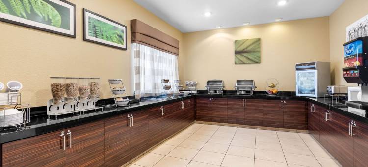 西部-近医疗中心舒眠套房酒店(Sleep Inn & Suites West-Near Medical Center)图片