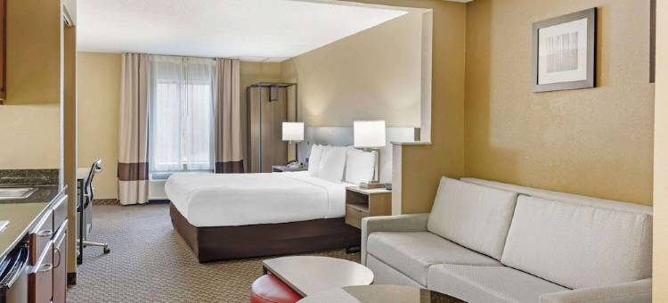 舒适套房酒店(Comfort Inn & Suites Carneys Point)图片