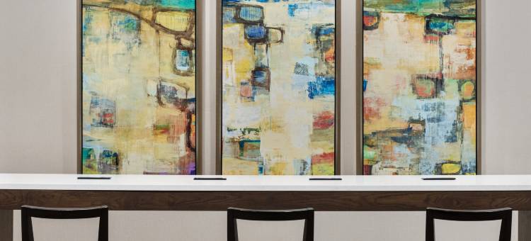 哥伦布都柏林希尔顿安泊酒店(Embassy Suites by Hilton Columbus Dublin)图片