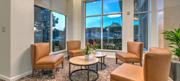 达拉斯阿林顿希尔顿花园酒店(Hilton Garden Inn Dallas/Arlington)图片