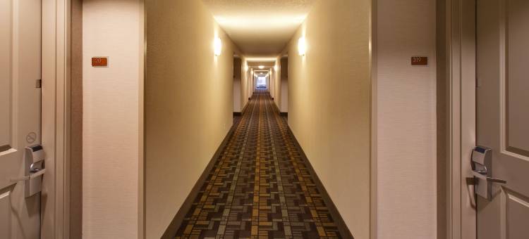 锡布利美吟温德姆酒店(AmericInn by Wyndham Sibley)图片