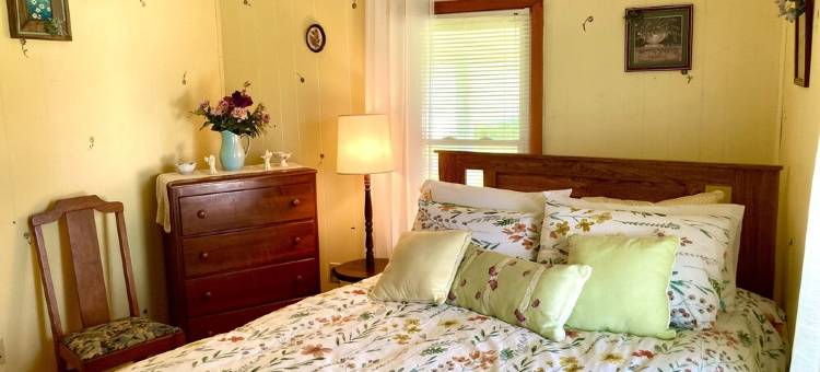 Our 80-Acre Farm, Lake, Nature Trail, Bonfires, Starry Nights  2 Miles Grafton图片
