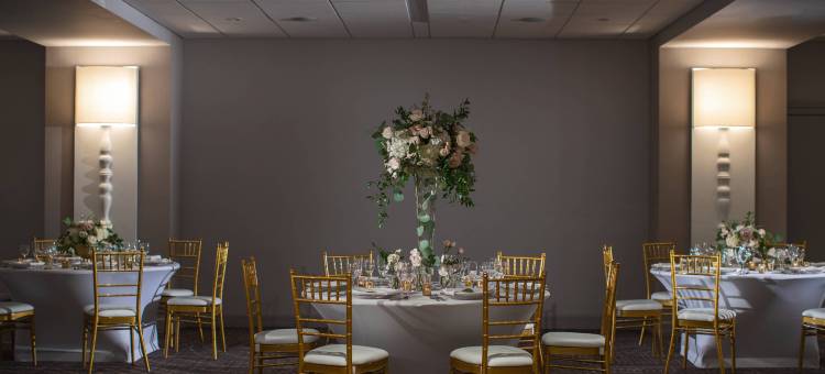 德梅因萨弗里万丽酒店(Renaissance des Moines Savery Hotel)图片