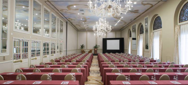 阿道弗斯傲途格精选酒店(The Adolphus, Autograph Collection)图片