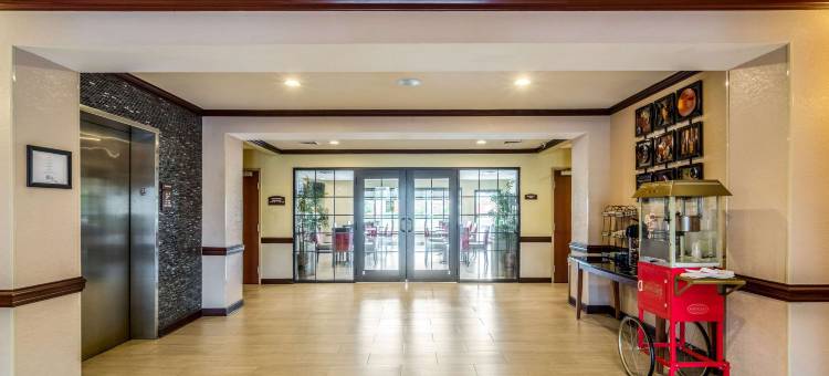 舒适酒店及套房-巴拿马城北部(Comfort Inn & Suites Panama City North)图片