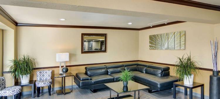 DFW机场北凯艺酒店(Quality Inn DFW Airport North)图片