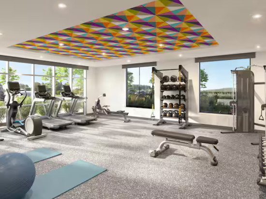 希尔顿惠庭套房酒店安阿伯南