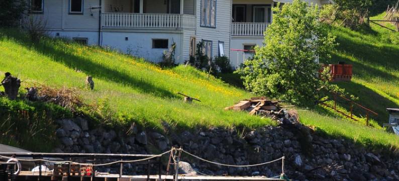 参观昂德瑞戴尔酒店(Visit Undredal)图片