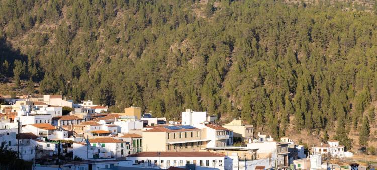 阿尔塔蒙塔纳酒店(Hotel Alta Montaña)图片