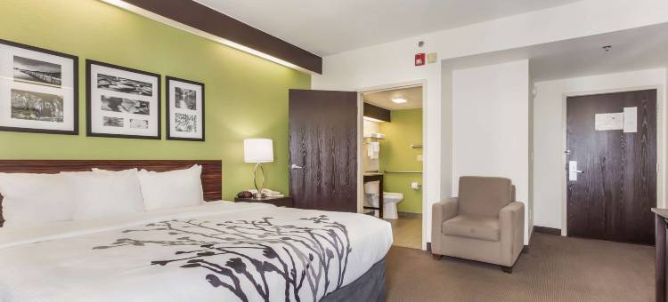 利特尔里弗 - 北默特尔比奇舒眠酒店(Sleep Inn Little River - North Myrtle Beach)图片