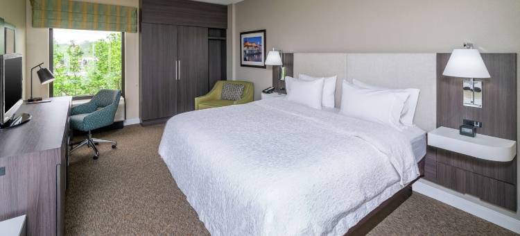 福吉谷/奥克斯欢朋套房酒店(Hampton Inn & Suites Valley Forge/Oaks)图片