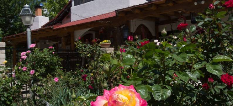 红马民宿(Red Horse Bed and Breakfast)图片