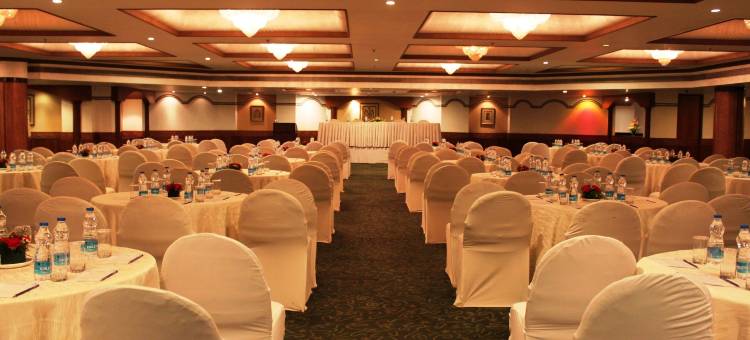 卢迪亚纳丽亭酒店(Park Plaza, Ludhiana)图片