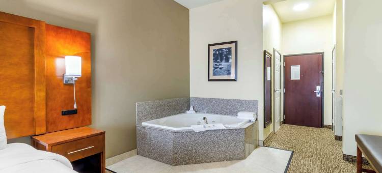 近伯特利学院舒适套房酒店(Comfort Inn & Suites Near Bethel College)图片